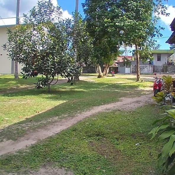 Mimi Guest House Syariah Pangkalanbuun Exterior foto
